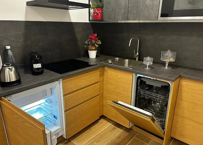 Apartament Vatican Domus Pio Viii *